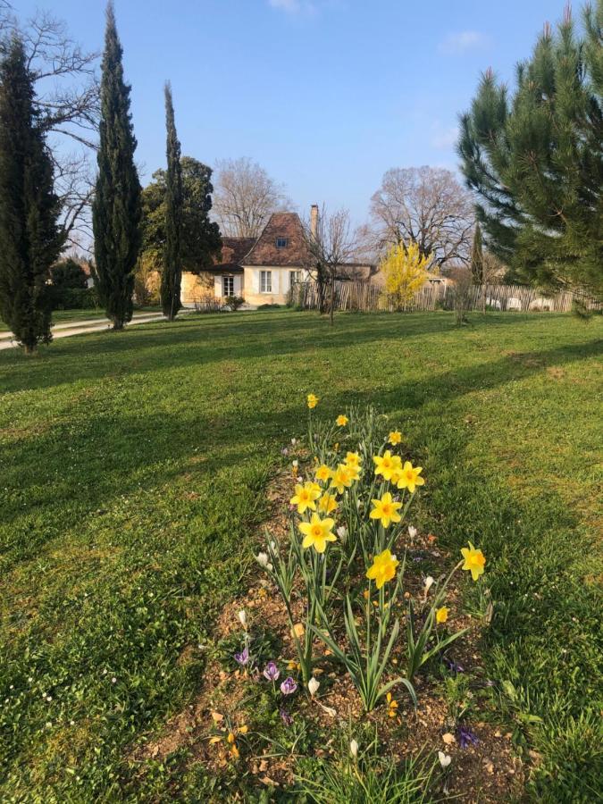 Chambres D'Hotes L'Ostal De Pombonne Μπερζεράκ Εξωτερικό φωτογραφία